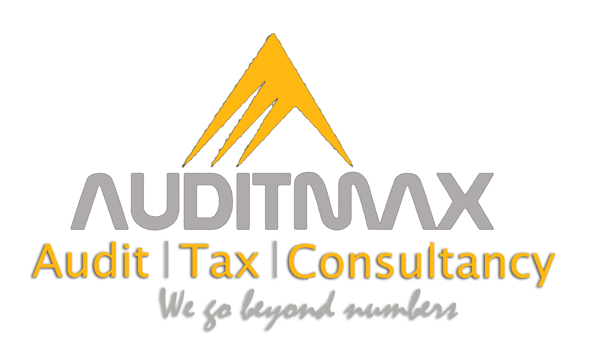 auditmax-logo